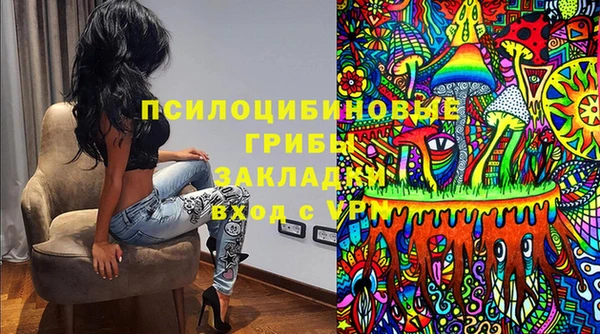 прущие крисы Алзамай