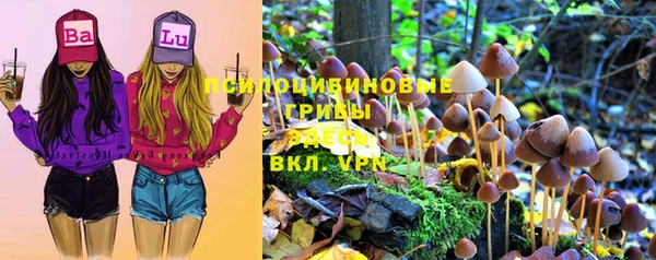гашик Пересвет
