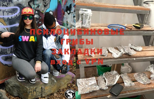 прущие крисы Алзамай