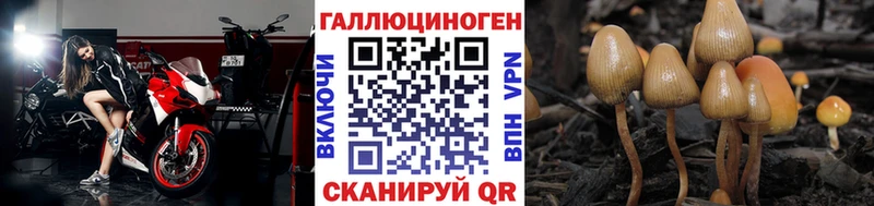 Псилоцибиновые грибы мухоморы  цена наркотик  Саянск 