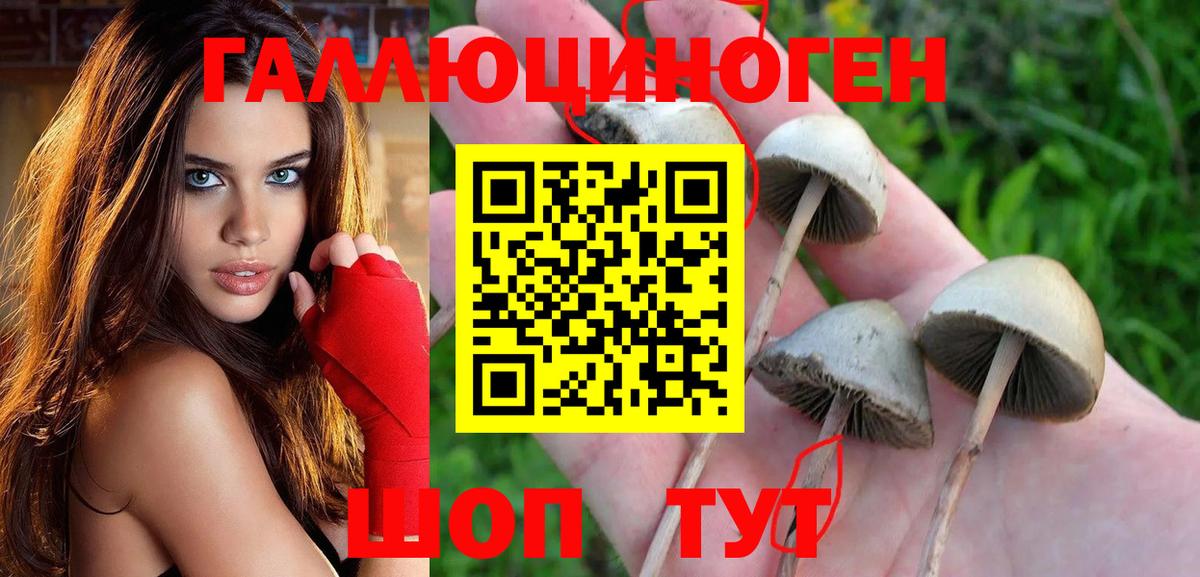 Галлюциногенные грибы прущие грибы  Галлюциногенные грибы ЛСД  Вход с VPN  купить наркотики сайты  Саянск 